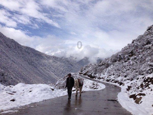 甘肃多地鹅毛大雪漫天飞，为何刚十月就会下雪？